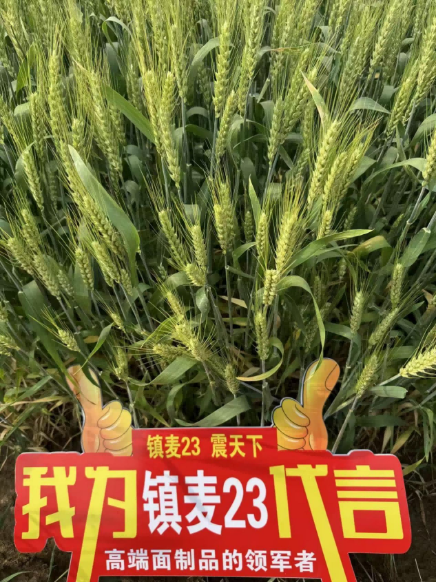 圖片3(1).png 圖片3(1).png